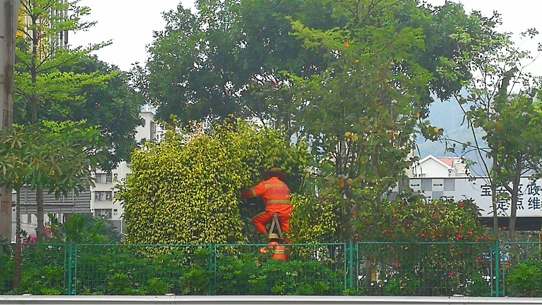 《来深建设者》作者：金仙森 手机随拍.png