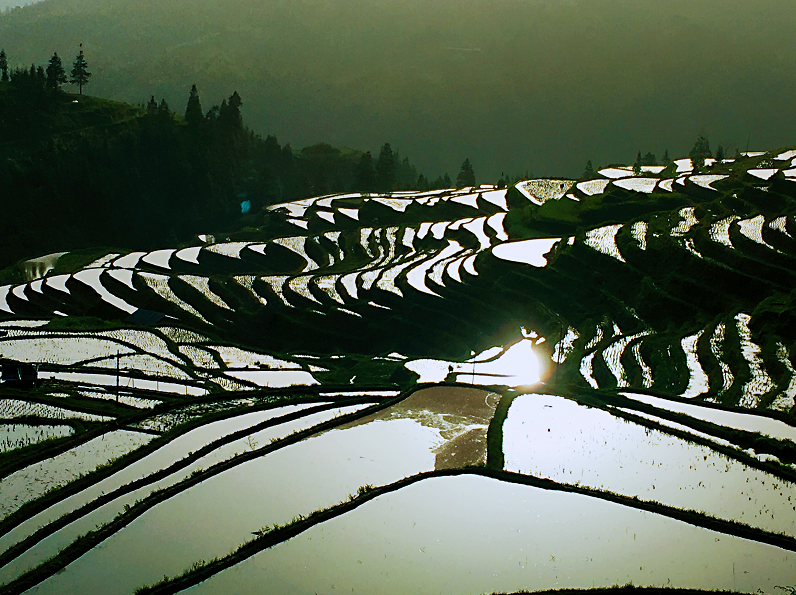 《梯田之晨》作者梁冰.png