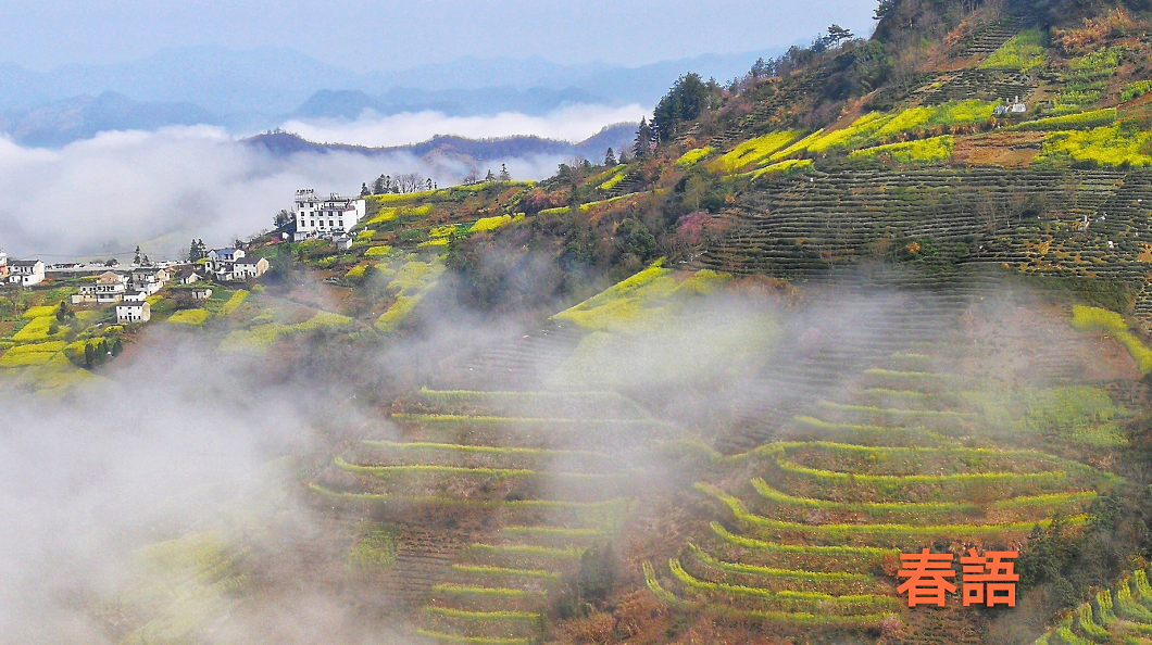 《春语》 作者：金耀平.png