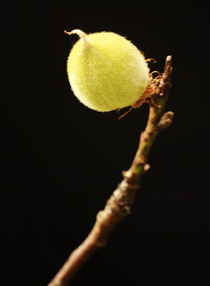 裁剪处理 副本.jpg