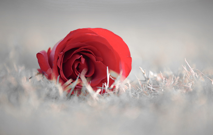 1526538312111225 副本.jpg