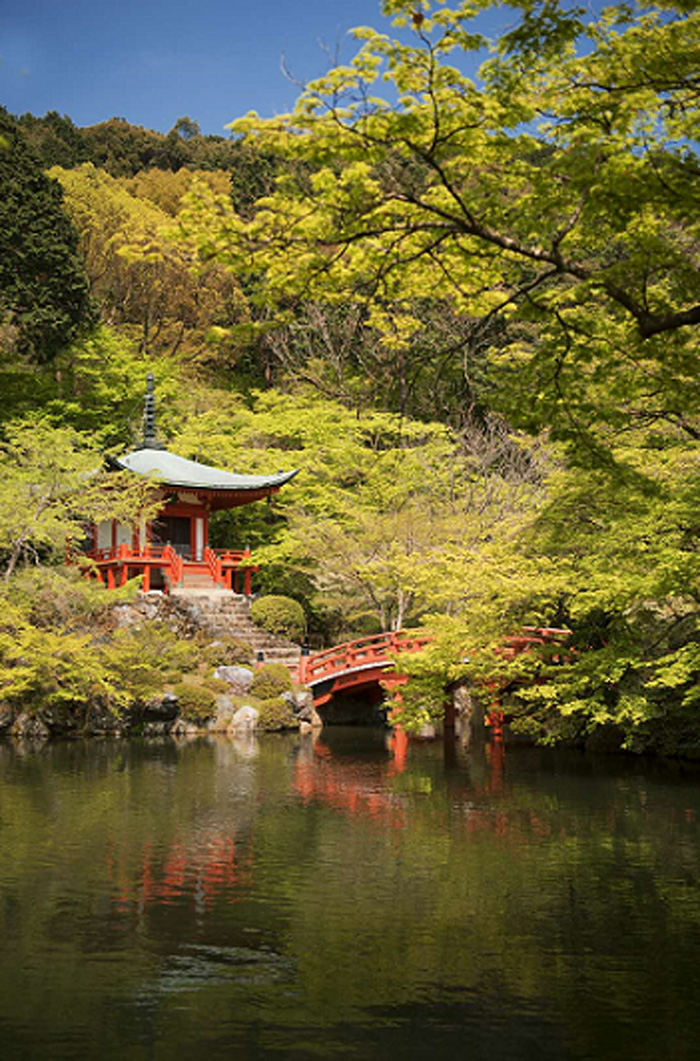 1526092351846233 副本.jpg