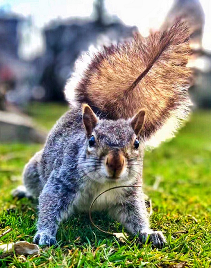 1526092374420955 副本.jpg