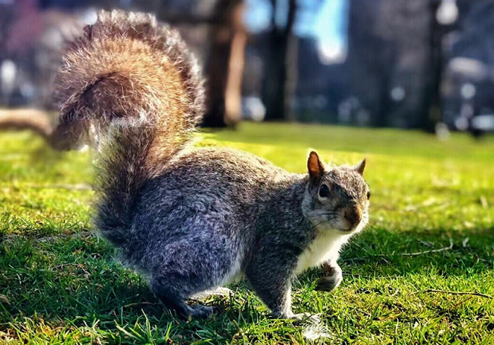 1526092378994944 副本.jpg