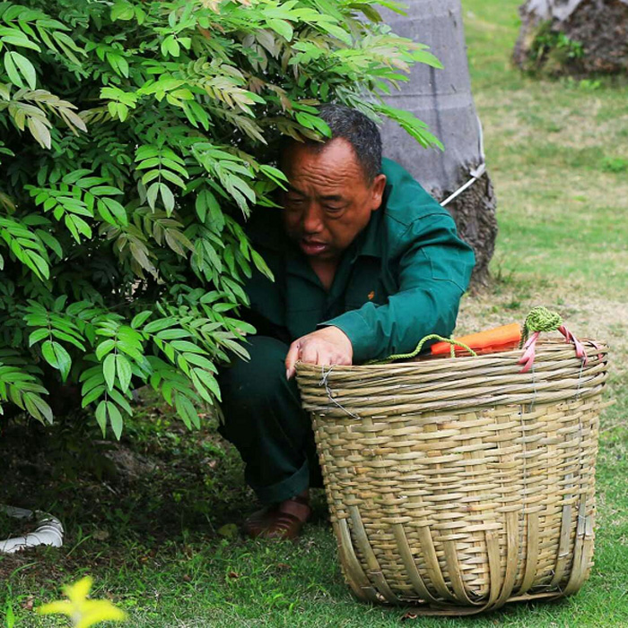 1526021054935524 副本.jpg