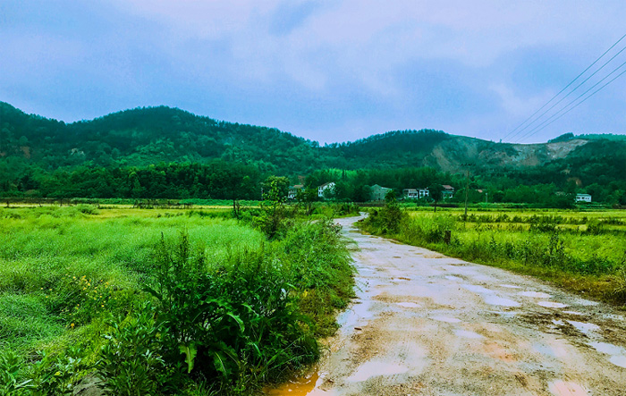 1525929255859948 副本.jpg