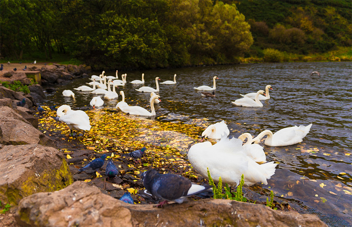 1524724295337592 副本.jpg