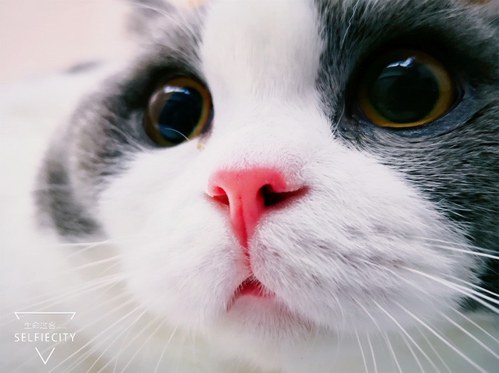 1524724288128127 副本.jpg