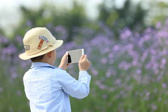 1524627112878955 副本.jpg