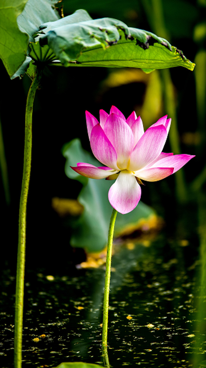 1524463377103330 副本.jpg