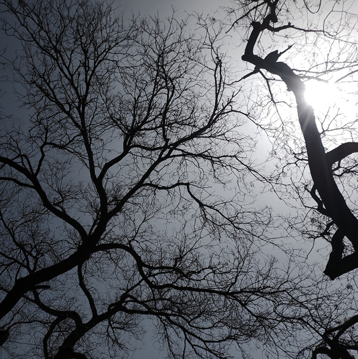 1532759015518859.jpg 1524378044458092 副本.jpg