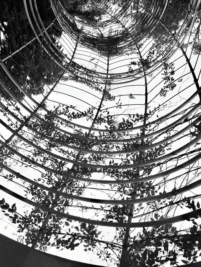 1532759598803294.jpg 1524121089535169 副本.jpg