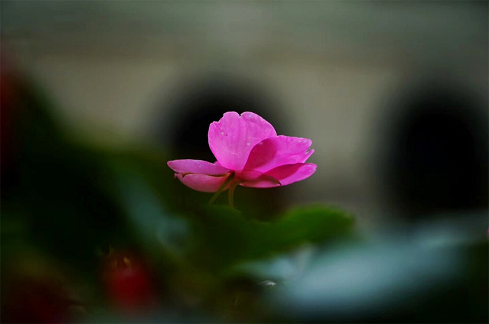 1532759871443688.jpg 1524038117139098 副本.jpg