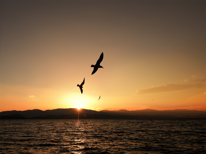 6号作品《夕阳》作者：李月 副本.jpg