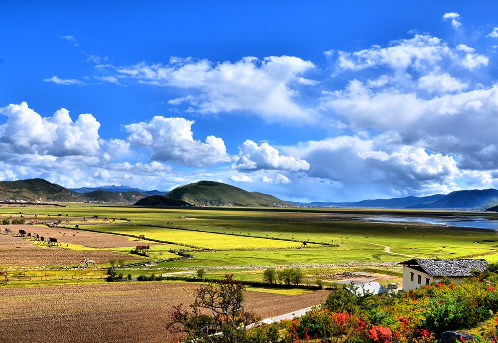 谢琪（纳帕海-香格里拉）.jpg