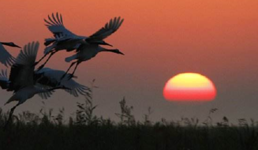 1566014408819599.png QQ截图20190817115818.png