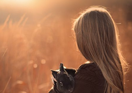 1566288172343698.png QQ截图20190820155839.png