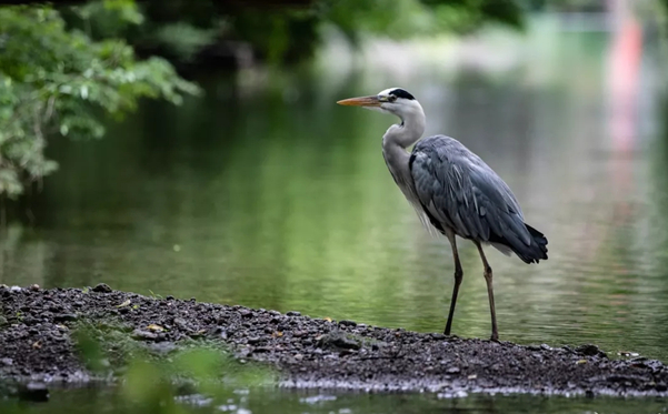 1576640637414374.png 微信图片_20191216151451.png