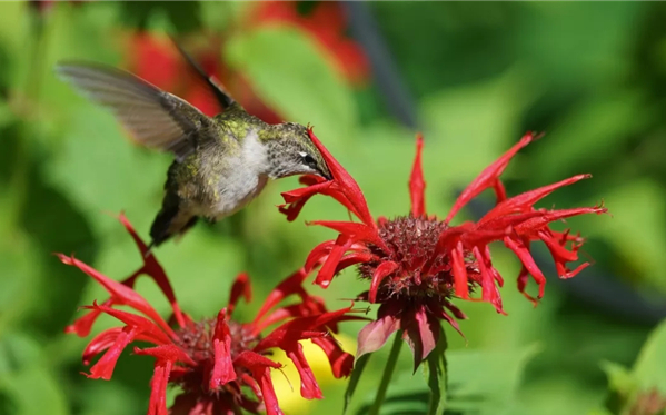 1576640808743036.png 微信图片_20191216151445.png