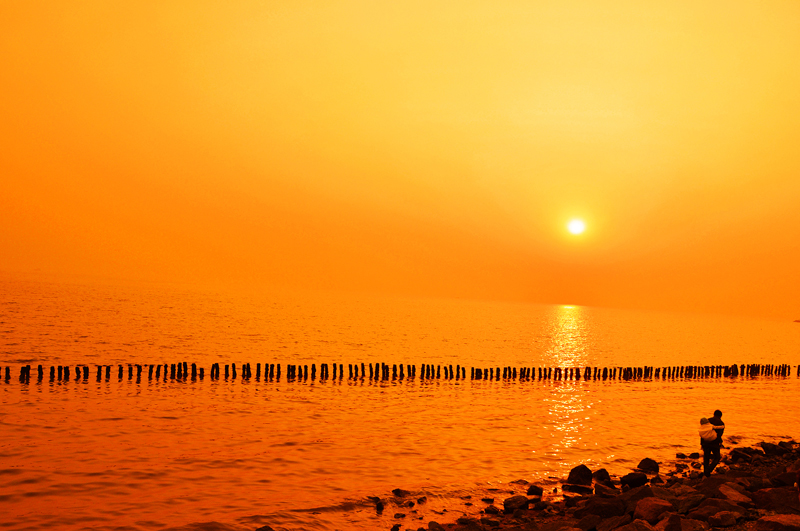 1598521306570761.jpg 彭小军1.jpg