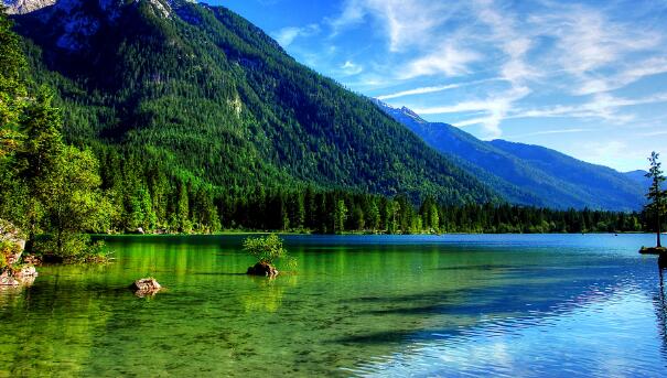 1621410936620678.jpg 1.jpg