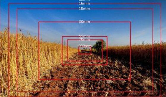 1622016417593872.jpg 1.jpg