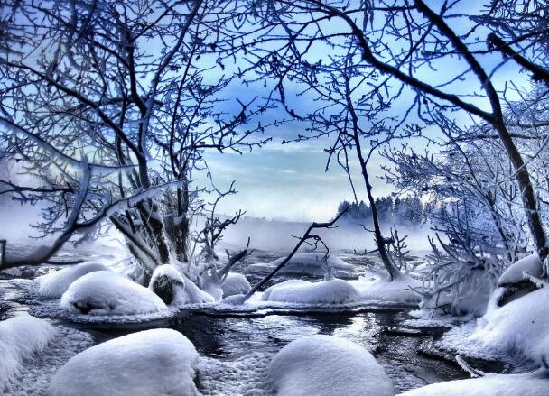 1622096096283818.jpg 1.jpg