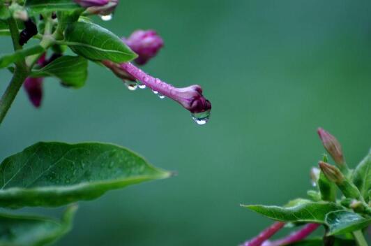 1622707551964243.jpg 1.jpg