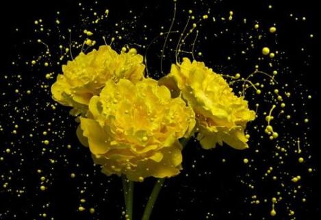 1635583711776626.jpg 1.jpg