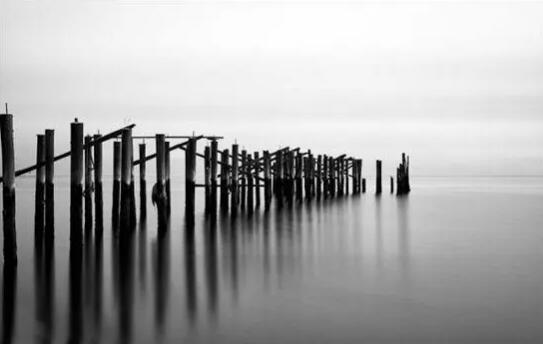 1645512340672628.jpg 1.jpg