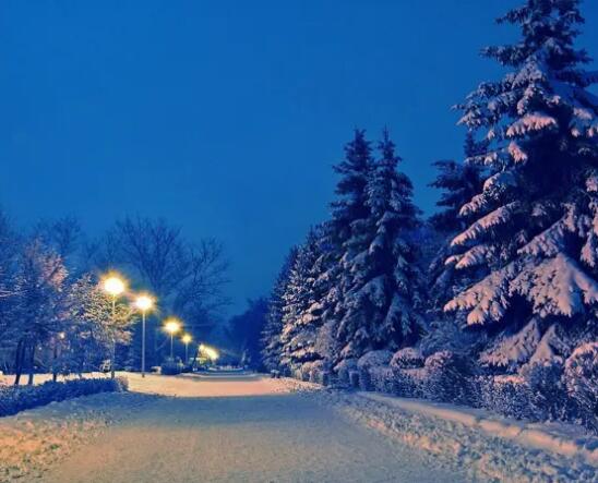 1648193563327079.jpg 1.jpg