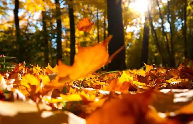 1649406258541136.jpg 1.jpg