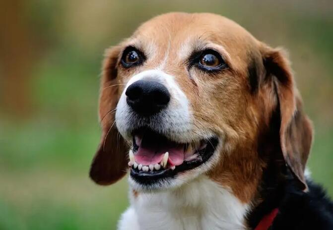 1652855421782140.jpg 1.jpg