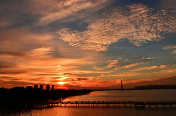 1661138704902857.jpg 1.jpg