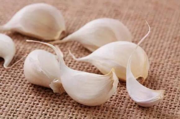 1667534854252056.jpg 1.jpg