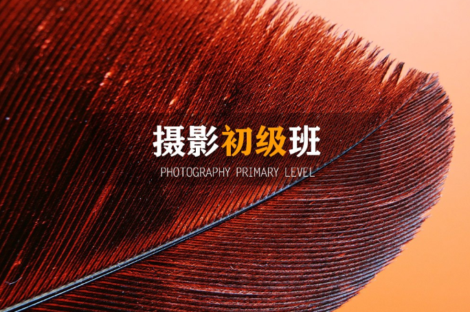 1761111168305991.jpg 1.jpg