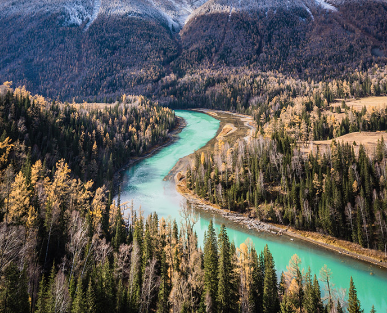 1762999758715126.jpg 1.jpg